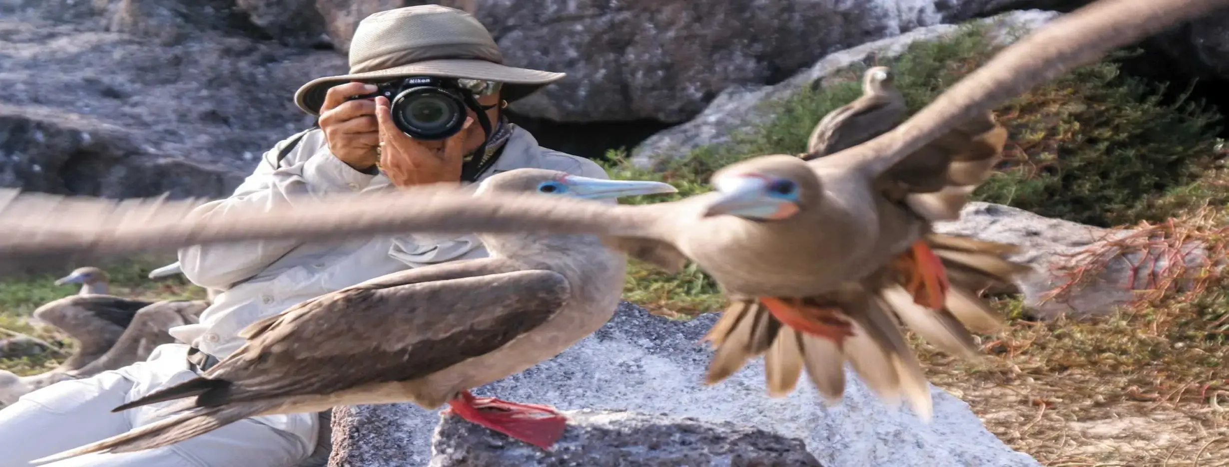 Image for Birdwatching Paradise